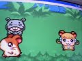 Hamtaro - Ham ham\
