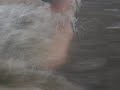 Playing In A Flash Flood :]