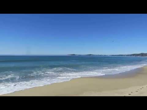 Video for Venice Beach at Half Moon Bay State Beach