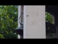 Click here to watch this video Église Sainte Anne à Marseille (les Caillols) en Provence - Volée dominicale 