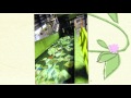 Recycling Challenge