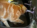 Wet   Pussy