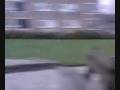 videos de Gekke kinderen