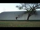 3correr and Black & White (Art Motion 2008) 3correr and Black & White (Art Motion 2008)
