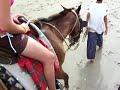 MANCORA PLAYA PUNTA BALLENAS PIURA PERU