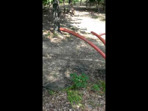 how to sink brush piles