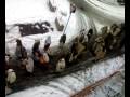 videos de Inverno a Cavenago 1900