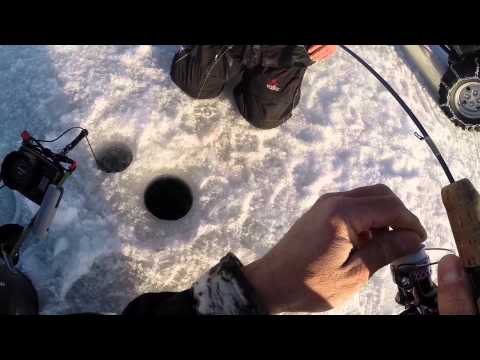 Perfect image of centurion charters mackay