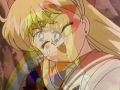 Sailor Venus:Champion Of Love and Beauty