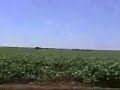 Iowa\