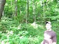 Temperate Deciduous Forest Temperate Deciduous Forest