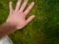 On The Southampton FC Pitch
