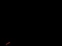 dumb friend running from fireworks2