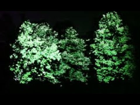 Image de prévisualisation YouTube