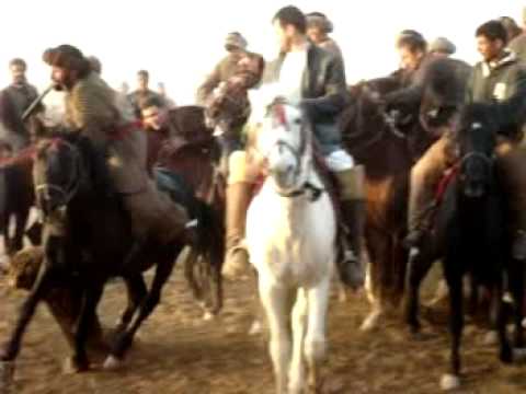 Buzkashi