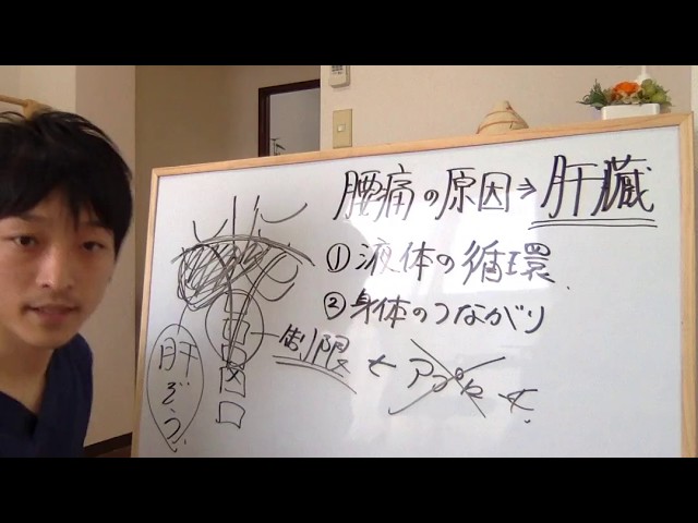 肝臓が腰痛の原因？？