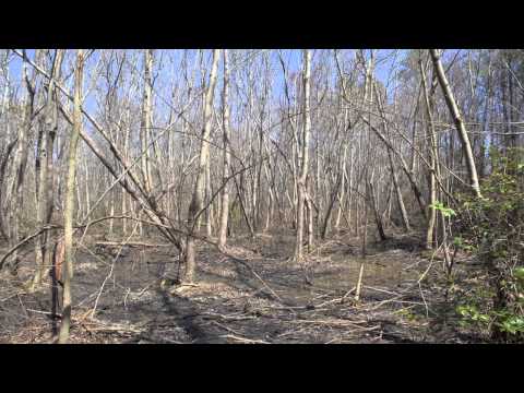 176.93 acres Louisburg, NC