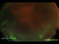 Aurora near Fairbanks, Alaska
