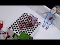 The Last Rabbit - Extended trailer