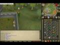 My F2P PvPer Pure.