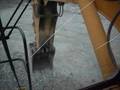 escavatore liebherr 994