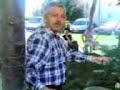 mengen k��ekleri bat?kentte