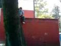 rulo y dani kourcers