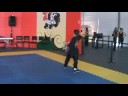 Garra de Águia Santo Amaro ( Kati de Serpente)