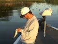 6 lb bass 5lb Bass and lots of 2-3 lb bass 6 lb bass 5lb Bass and lots of 2-3 lb bass