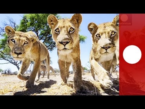 how to remote control a camera