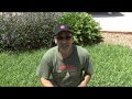 Weekend Project: Parabolic Microphone