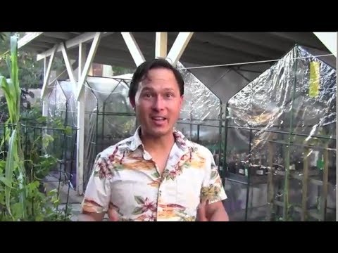 Growing Fall/Winter Crops in $17.50 Greenhouses To Have Fresh Food Over the Winter