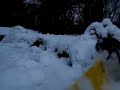 Snow Plowing My G-Scale Railway!