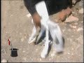 Paper Magic