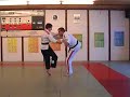 Jujutsu - ultimativ