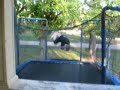 The Super Flip