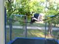 The Super Flip