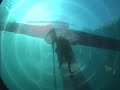 scuba diving windiate and barney shipwrecks by the scubaguys