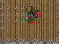 Tibia Solera - Tricya -  Arena3