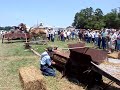 One horse power hay baler