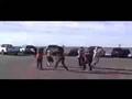 Jonni Homsey choreography reel