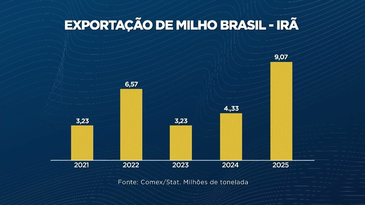 Agroexport: exportação de milho do Brasil para o Irã cresce 280% em cinco anos