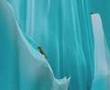 dreamworks-animation