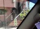 Prank Attank- June Marie and my rat!