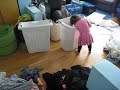 Estie Sorts Laundry