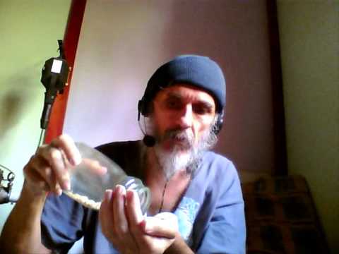 how to grow nuts in uk