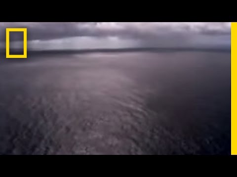 ORIGINS - Explore how half of Earth's water originated from the planet's inception and how the other half was deposited by comets. Earth the Biography: Oceans : MON JU...