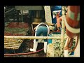 SLIME EEL FISHING SLIME EEL FISHING