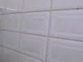 Ricardo tentando falar
