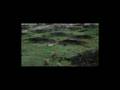 Siddharta - Naiven ples